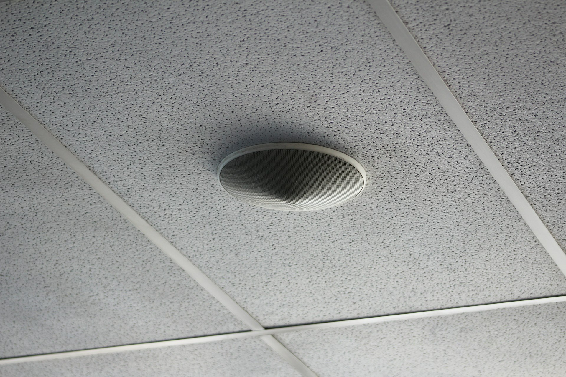 Un altavoz redondo instalado en el techo